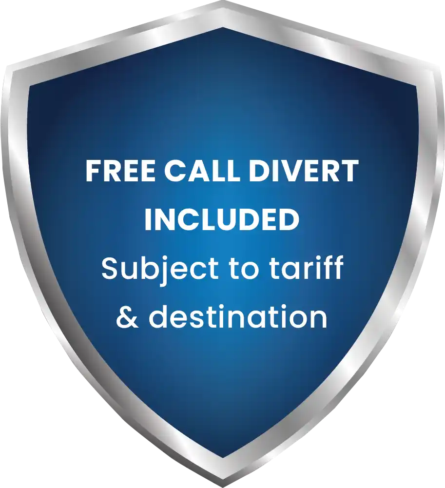 virtual mobile number features image 6