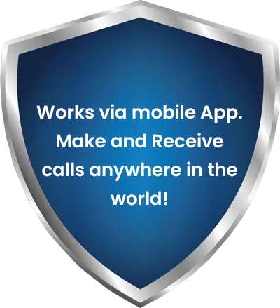 usa virtual mobile number features image 1