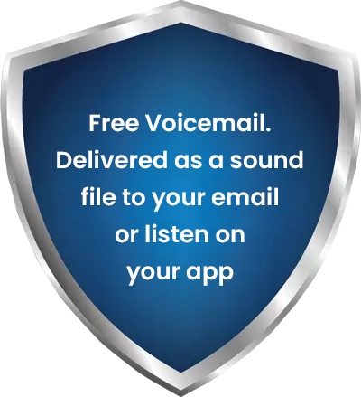 usa virtual mobile number features image 3